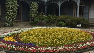 じっくり見られて感動