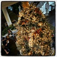 クリスマスツリー&#9825;