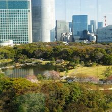 展望レストランから眼下の公園を望む
