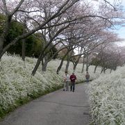 植物を愛する愛知県民必見のスポット！