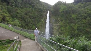草木の緑が綺麗でした