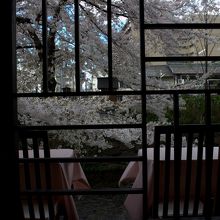 店内からも桜が見えます。