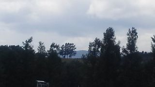 近くでは見られません