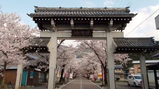 西国三十三箇所第三十三番札所、桜・紅葉の名所