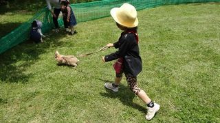 1日ゆっくり遊べます