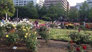 歩いていて楽しい公園