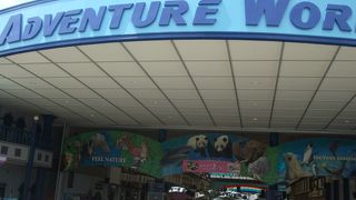 動物といろんな体験ができます