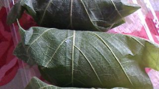 柏餅を三種類たべちゃう。