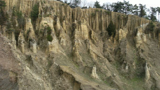 確かに凄いのは凄いが