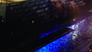 ほのぼのしています。