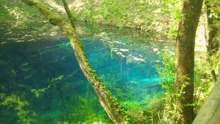 青池は、最高！