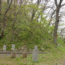 お庭がきれいです