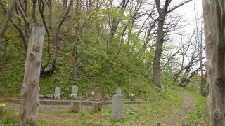 ここでお茶会もできるそうです