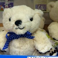 こんなかわいいお土産が