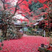 揖斐川町で紅葉を観るならここ！