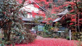 揖斐川町で紅葉を観るならここ！