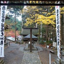 本堂からの眺め。三重塔・仁王門・香堂・紅葉・黄葉が美しい。