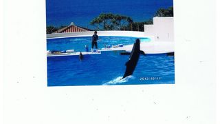 海洋公園も素晴らしい