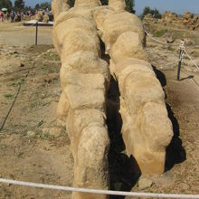 本当に巨大です