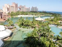 アトランティス　コーラル　タワー 写真