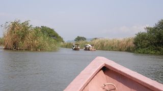 水郷めぐり