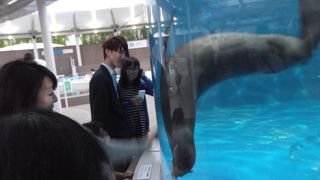 アザラシを自由に操れます