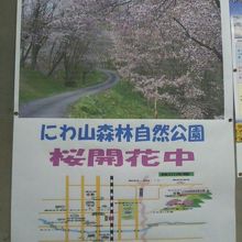付近は森林公園となっています