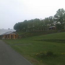 テントサイトの様子