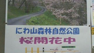 桜の季節が特にお勧めです