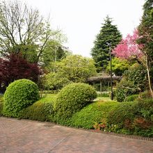 きれいな庭園も目玉かも