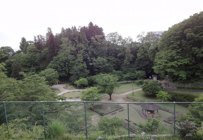 緑豊かな公園