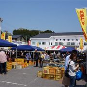 とっても楽しい！陶器だけでなく雑貨も色々！