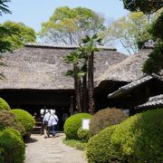 見ごたえのある藍染作業場。見学可能です。