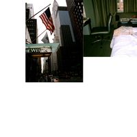 クライスラービルを入れ撮影。もう１枚は室内です。