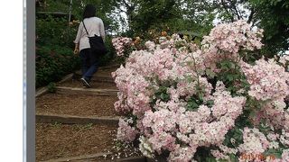 子供連れにもとってもよいです