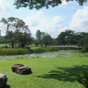 チャイニーズガーデンは、実は中国庭園の「裕華園」と日本庭園の「星和園」から構成されています。