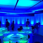 色んなイベントやってます