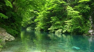 静かな渓谷で、秘境気分を味わえる