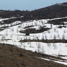展望所付近の眺め。