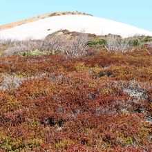 展望所付近の眺め。