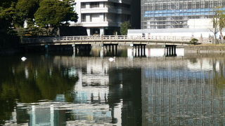 外堀の右手にあります