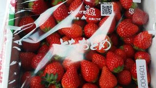 道の駅にのみやはイチゴパラダイス