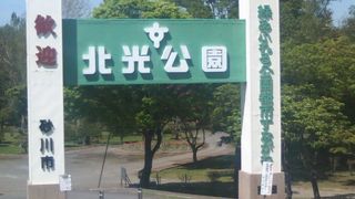 市民の憩いの公園として親しまれています