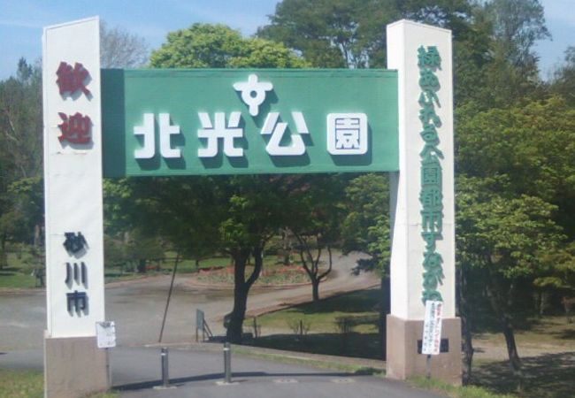 市民の憩いの公園として親しまれています