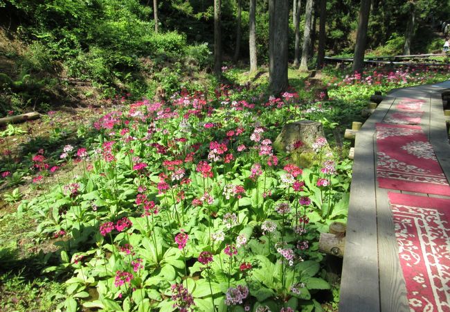 九十九谷森林公園 クチコミ アクセス 営業時間 高森 松川 フォートラベル
