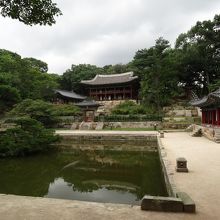 芙蓉池、ここはやっぱり観ておくべき