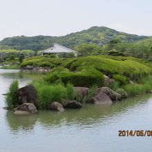 新緑が綺麗