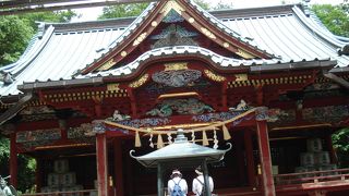 四季折々自然を楽しめる山。