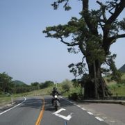 中国山地随一の景勝地