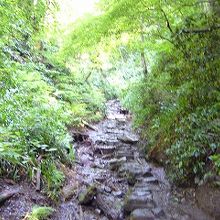 この沢の上も登山路です。